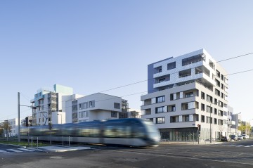 bordeaux-ginko-5