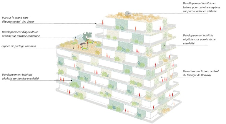 allege-les_voe_architecture-substrat