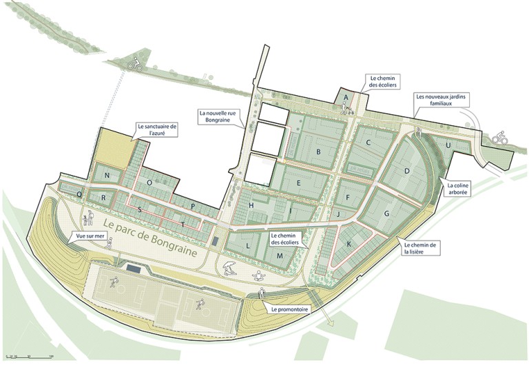 allege-brg_plan-masse-complet-01